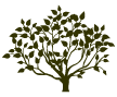 אייקון עץ ירוק של לוגו קפה זואי